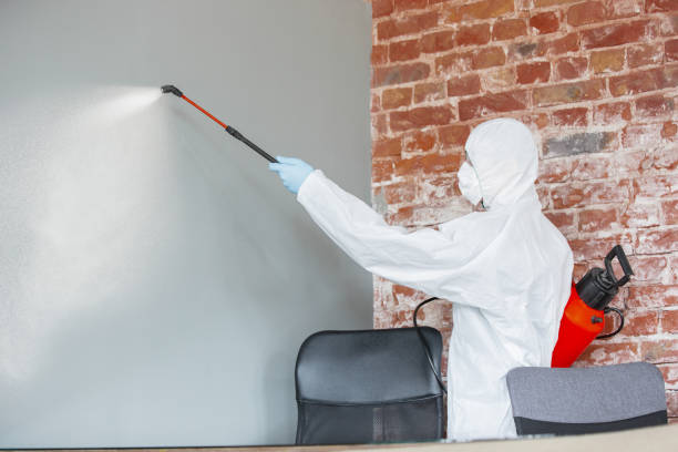 Best Mold-Related Health Consultation  in Crab Orchard, WV