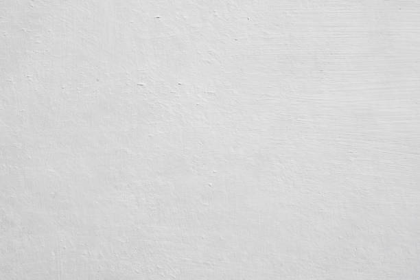 Environmental Consulting for Mold Prevention in Crab Orchard, WV